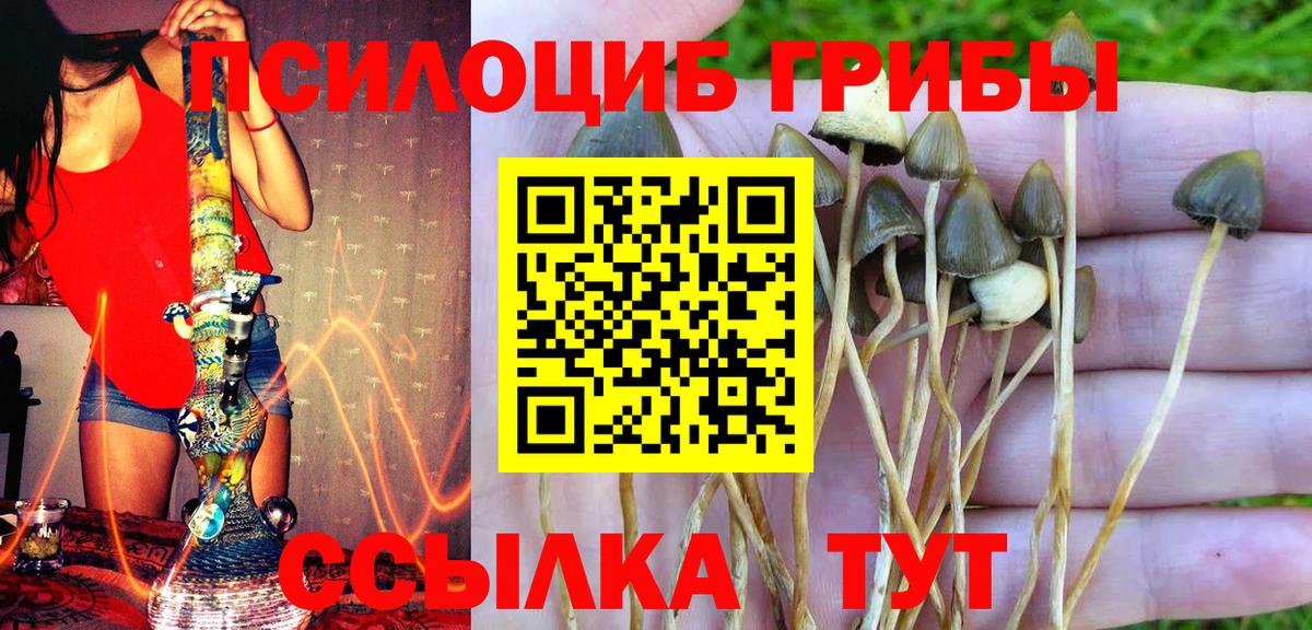 Псилоцибиновые грибы Magic Shrooms  Вход с VPN  Барабинск 