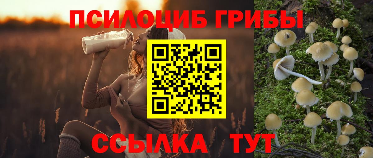 Галлюциногенные грибы MAGIC MUSHROOMS  Барабинск  Галлюциногенные грибы Psilocybe 