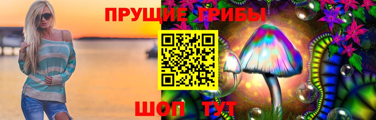 Псилоцибиновые грибы мицелий Барабинск